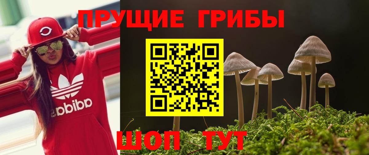 Галлюциногенные грибы Magic Shrooms  Вход с VPN  Чапаевск 